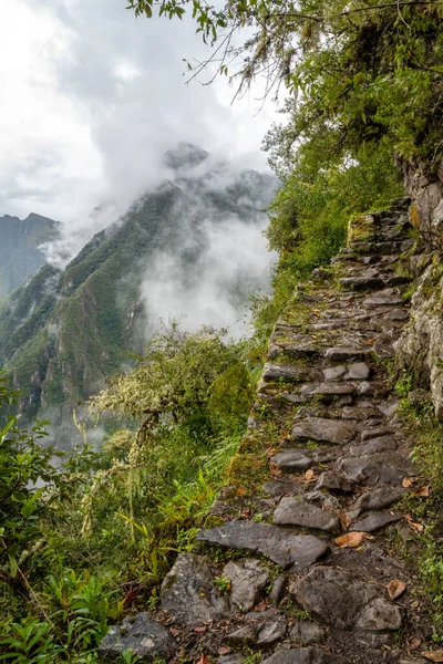 Bereketli bitki örtüsü ve sisli dağlarla çevrili dar bir taş yol, antik bir stratejik erişim yolu olan Machu Picchu 'daki İnka Köprüsü' ne çıkar.