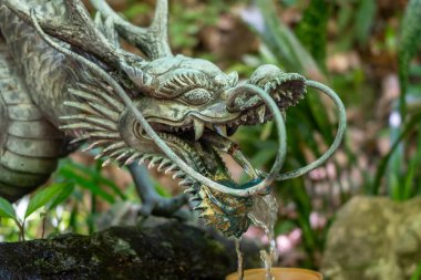 Hiroşima 'daki Mitaki-Dera tapınağında yemyeşil ve yosunlu taşlarla çevrili bronz bir ejderha çeşmesi ya da chozuya, arıtıcı suyla doludur.