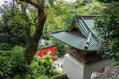 Enoshima-jinja türbesinin çarpıcı kırmızı torii kapısı Enoshima Adası 'nda geleneksel çatılar ve orman tepeleri tarafından çerçevelenen yemyeşil yeşillikler arasında yer alıyor.