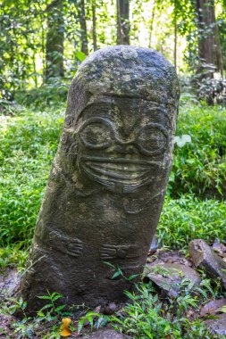 Punaei 'nin gülümseyen tiki, Marquesas Adaları, Fransız Polinezyası' nın Hiva Oa şehrinde, tropikal bir orman ortamında yemyeşil bir bitki örtüsüyle çevrelenmiş taştan bir figürdür.