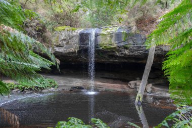 Avustralya 'daki Büyük Okyanus Yolu üzerindeki Cumberland Nehri yürüyüşü boyunca yer alan Kalimna Şelaleleri, kayalık bir çıkıntının üzerinden yemyeşil bir yağmur ormanına dökülür. Yükselen eğrelti otları ve yoğun yeşillik bu dingin doğal şelalenin etrafını sarar.