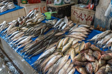 Rantepao 'daki Bolu pazarındaki dokunmuş bambu tepsisinde taze balık sergileniyor. Toraja, Sulawesi, Endonezya' da canlı, geleneksel bir yer.
