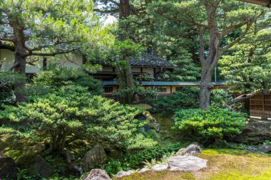 Kenroku-en, Kanazawa 'daki tarihi Seisonkaku Villa' yı çevreleyen verimli bir bahçe, zarif mimariyi zengin bitki örtüsü ve ebedi sükunetle harmanlıyor.