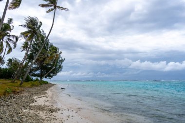 Huahine adasında sallanan palmiye ağaçları, berrak turkuaz suları, mercan parçaları ve bulutlu bir gökyüzü olan sakin bir plaj tropikal bir cennet yaratıyor.