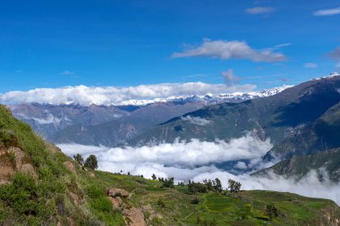 Çarpıcı bir Colca Kanyonu manzarası dramatik uçurumlar, yemyeşil yemyeşil ve açık mavi bir gökyüzü.