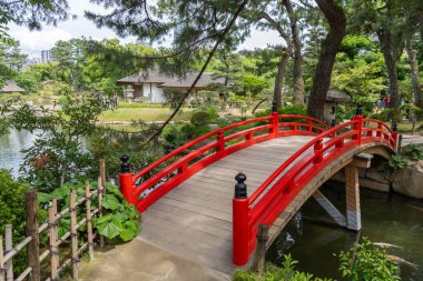 Hiroşima 'daki huzurlu Shukkei-en Japon bahçesinde ağaçlar ve yeşilliklerle çevrili canlı bir kırmızı kemerli köprü bir gölet boyunca uzanır.