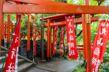 Japonya 'nın Kamakura kentindeki Tsurugaoka Hachiman-gu türbesi içine yerleştirilmiş Maruyama Inari Tapınağı' na giden yol parlak kırmızı torii kapıları ve sancaklarla çevrilidir.