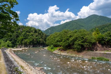 Sho Nehri, ormanlık dağlar ve huzurlu bir yaz manzarasında geleneksel sazdan evler ile çevrili Shirakawa-go 'da usulca esiyor.