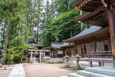 Japonya 'nın Takayama kentindeki Sakurayama Hachimangu Tapınağı' nın geleneksel ahşap yapıları sakin bir orman atmosferindeki yüksek yeşil ağaçların arasında huzur içinde dururlar.