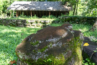 Nuku Hiva, Fransız Polinezyası 'ndaki Kamuihei arkeoloji sahasında bulunan yosun kaplı taş kaplumbağa heykeli, ataları Marquesan geleneklerini ve Polinezya kültür mirasını sembolize ediyor.