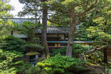 Kenroku-en, Kanazawa 'daki tarihi Seisonkaku Villa' yı çevreleyen verimli bir bahçe, zarif mimariyi zengin bitki örtüsü ve ebedi sükunetle harmanlıyor.