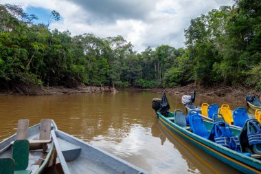 Görüntü, Ekvador 'daki bereketli Amazon yağmur ormanlarıyla çevrili Cuyabeno Rezervi' nin çamurlu sularına yanaşmış renkli kanoları yakalıyor. Keşif için hazırlar.