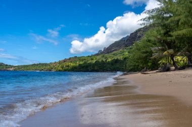 Altın kum, kristal berrak sular ve yemyeşil palmiye ağaçları yeşil volkanik dağlarla çevrili, Nuku Hiva, Fransız Polinezyası 'ndaki uzak Anaho Körfezi boyunca uzanır.