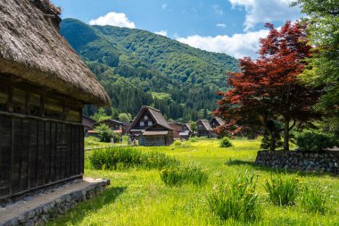 Japon yeşil dağlarındaki Shirakawa-go köyünün huzur dolu atmosferini, şatafatlı evler, canlı ağaçlar ve yemyeşil otlaklar karakterize eder.