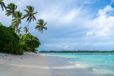 Huahine 'deki Anini Marae Sahili, Fransız Polinezyası, altın kum, turkuaz sular, yemyeşil bitki örtüsü ve eğimli palmiye ağaçları sunar.