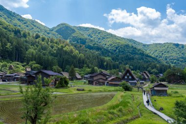 Shirakawa-go 'nun ikonik sazdan çatılı evleri Japonya' da parlak bir yaz gökyüzü altında yemyeşil pirinç tarlaları ve yeşil dağlarla güzelce harmanlanır.