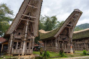 Bufalo boynuzlarıyla süslenmiş Tongkonan evleri Sulawesi, Endonezya 'daki Toraja halkının atalarının geleneklerini ve kültürel zenginliklerini temsil ediyor.