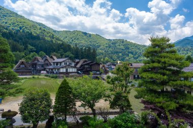 Shirakawa-go 'nun ikonik sazdan çatılı evleri Japonya' da parlak bir yaz gökyüzü altında yemyeşil pirinç tarlaları ve yeşil dağlarla güzelce harmanlanır.