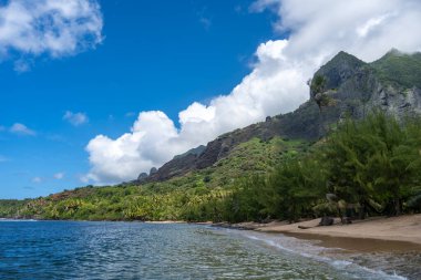 Altın kum, kristal berrak sular ve yemyeşil palmiye ağaçları yeşil volkanik dağlarla çevrili, Nuku Hiva, Fransız Polinezyası 'ndaki uzak Anaho Körfezi boyunca uzanır.