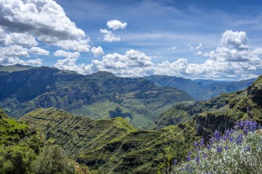 Peru 'daki Waqrapukara bölgesinde dramatik kaya oluşumları, yeşil vadiler ve dik uçurumlar yer almakta, And dağlarının parlak mavi gökyüzü altında nefes kesen manzaraları sunmaktadır.