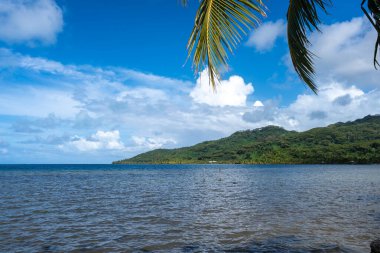 Palmiyeler ve hindistan cevizi ağaçlarıyla dolu bereketli kıyı şeridi ve Tahaa Adası, Fransız Polinezyası 'nın arka planında dağlar.