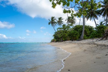 Huahine 'deki Anini Marae Sahili, Fransız Polinezyası, altın kum, turkuaz sular, yemyeşil bitki örtüsü ve eğimli palmiye ağaçları sunar.