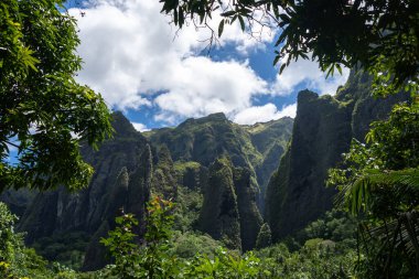 Hakaui Vadisi, Nuku Hiva, Fransız Polinezyası 'ndaki Vaipo şelalesine yapılan yürüyüş bereketli ormanlar ve dramatik uçurumlardan geçer ve Marquesas manzarasının nefes kesici manzarasını sunar.
