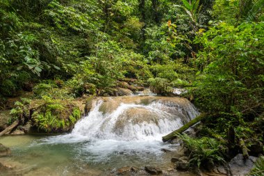 Berrak su, Tentena, Sulawesi, Endonezya yakınlarındaki yağmur ormanlarındaki yemyeşil tropikal bitki örtüsüyle çevrili kayaların üzerinden akar ve barışçıl bir atmosfer yaratır.