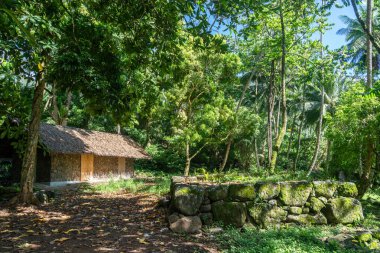 Geleneksel sazdan çatılı bir yapı, Kamuihei 'deki antik taş kalıntıları arasında duruyor, Nuku Hiva. Bu Polinezya miras alanı yemyeşil tropikal bitki örtüsüyle çevrilidir. Fransız Polinezyası