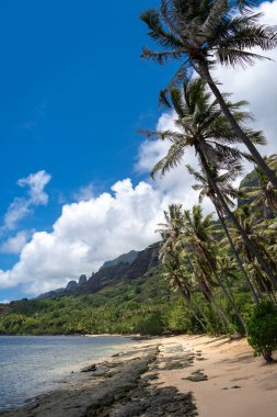 Altın kum, kristal berrak sular ve yemyeşil palmiye ağaçları yeşil volkanik dağlarla çevrili, Nuku Hiva, Fransız Polinezyası 'ndaki uzak Anaho Körfezi boyunca uzanır.