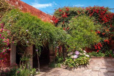 Arequipa 'daki Santa Catalina Manastırı' ndaki iç avlular ve yemyeşil bahçeler canlı çiçeklerle dolu huzurlu ve güzel bir atmosfer sunuyor.