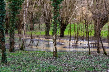 Nehir Paris yakınlarındaki Chevreuse 'de taşar.