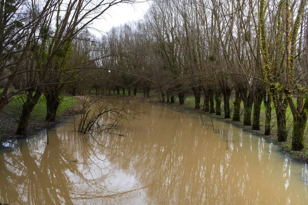 Nehir Paris yakınlarındaki Chevreuse 'de taşar.
