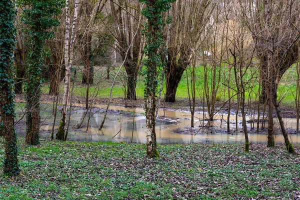 Nehir Paris yakınlarındaki Chevreuse 'de taşar.