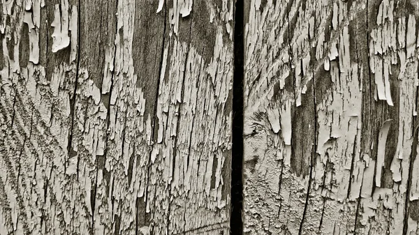 Textur aus Holz — Stockfoto