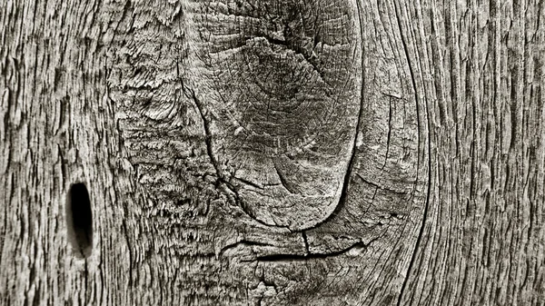 Texture of wood — Stock Photo, Image