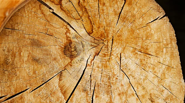 Wood texture. Abstract background — Stock Photo, Image