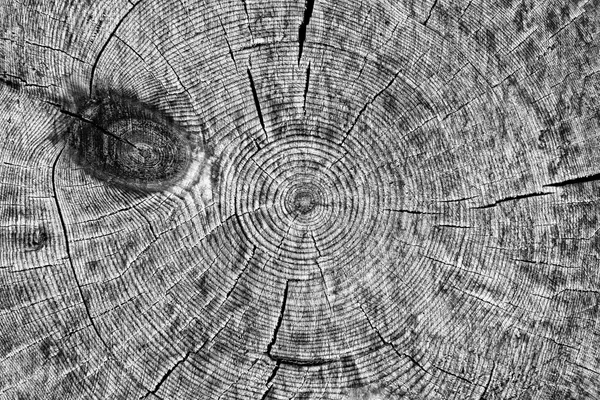 Struktura dřeva. Abstraktní pozadí — Stock fotografie
