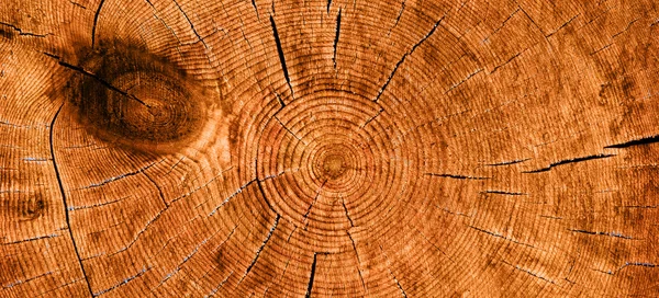 Текстура дерева. Абстрактний фон — стокове фото