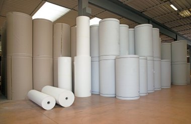 Depoda (kağıt ve cardoboard) kağıt fabrikası