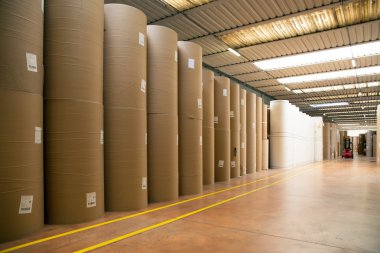 Depoda (kağıt ve cardoboard) kağıt fabrikası