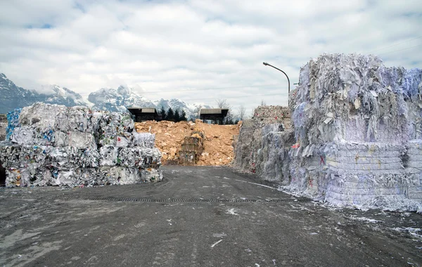 Papel y cartón para reciclar — Foto de Stock