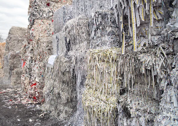 Papier und Karton für das Recycling — Stockfoto