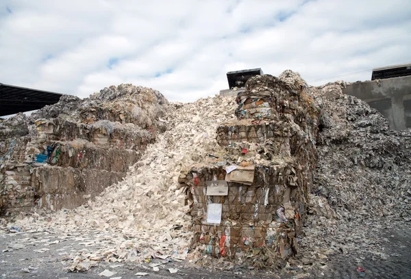 Paper and cardboard for recycling — Stock Photo, Image