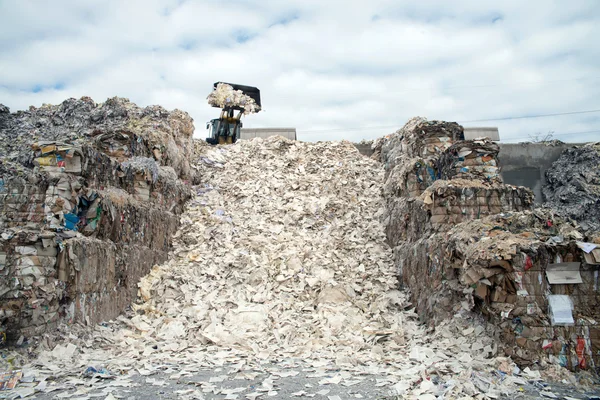 Papier en karton voor recycling — Stockfoto