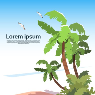 Tropikal Adası palmiye ağacı martı gökyüzü yaz tatili