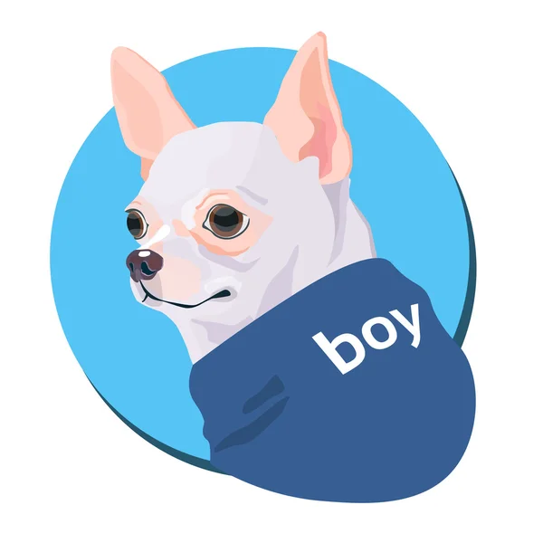 Εικονίδιο σακάκι φθορά σκύλο κινουμένων σχεδίων — Διανυσματικό Αρχείο