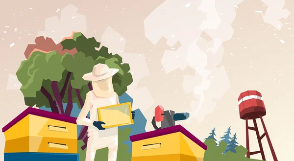 农民从蜜蜂蜂箱养蜂场收集蜂蜜 — 图库矢量图片