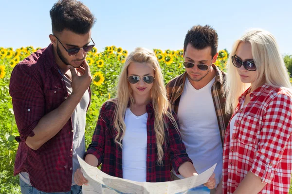 Persone gruppo alla ricerca di road map in piedi campo di girasoli all'aperto — Foto Stock