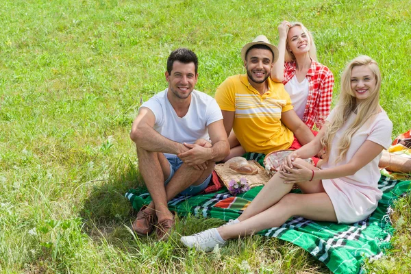 Друзі пікнік люди групи сидять на ковдрі на відкритому повітрі зелена трава — стокове фото